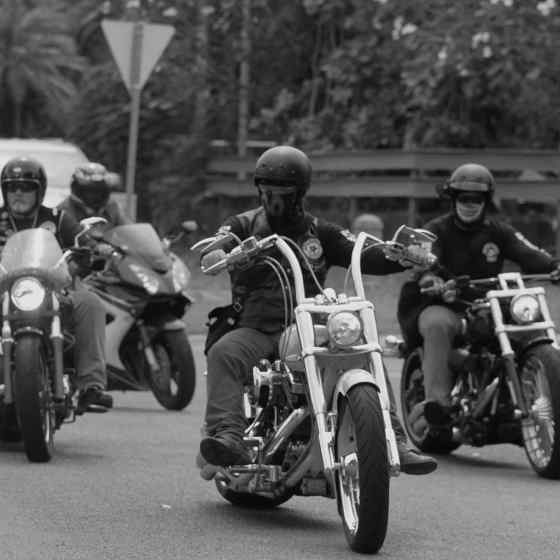 Photo Credit: Lou Reeve