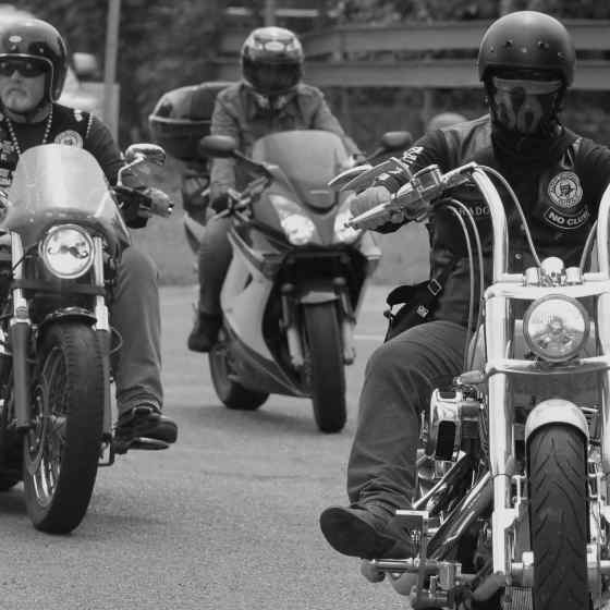 Photo Credit: Lou Reeve